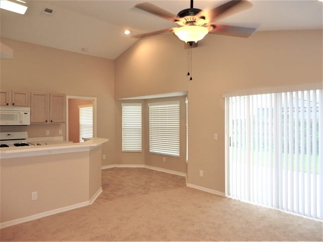 Photo - 1410 Scotch Pine Dr