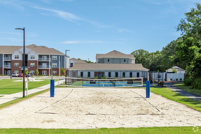 Volleyball Court