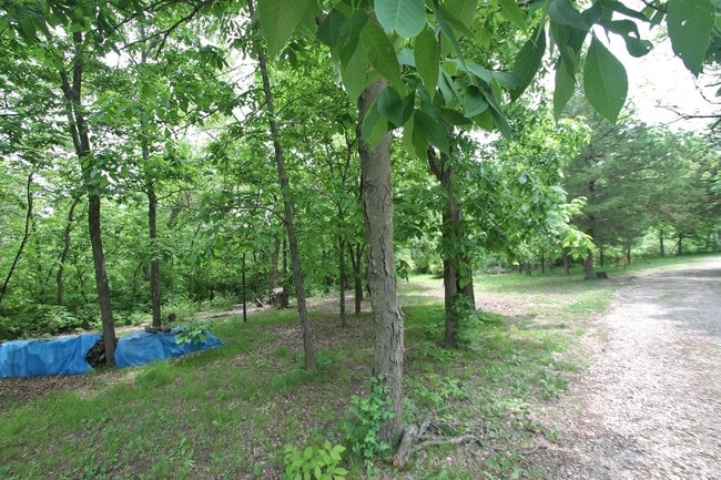 Photo - Secluded luxury cabin in woods with private lake! Great Central location between Topeka & Lawrenc...