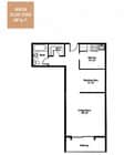 Newton