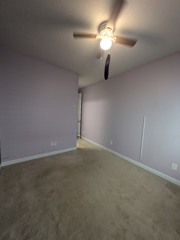 Photo - 4314 Connestee Ct