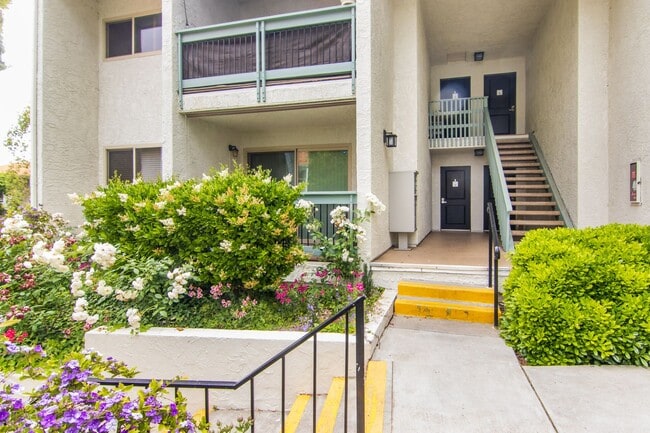 23679 Park Capri Unidad 23679 Park Capri #13