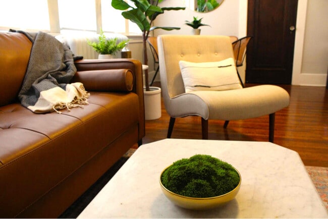 Photo - 449 Richmond Ave Unit 3