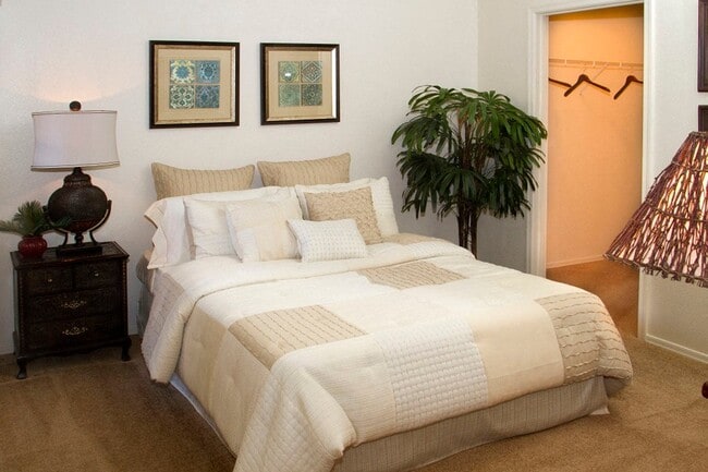 Walk-In Closet* - RidgeGate Apartments