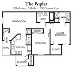 The Poplar
