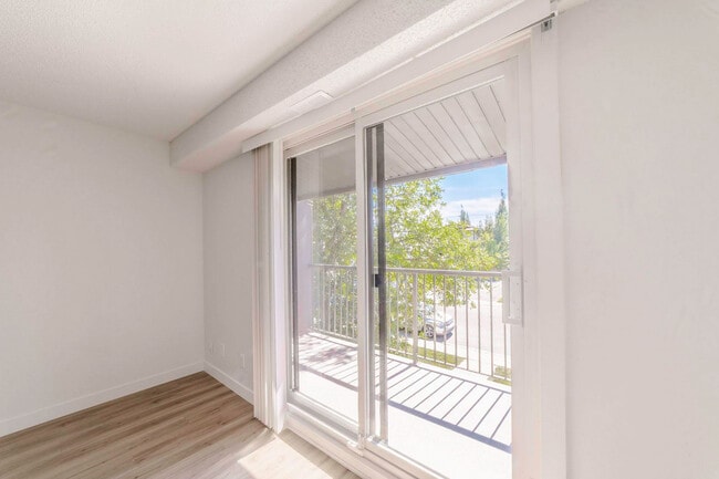 Photo - King's Alley