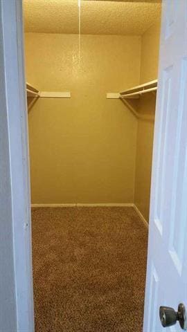 Photo - 2446 Buffalo Gap Rd Unidad 188