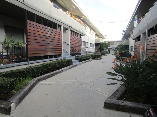 Photo - Venice Dreams