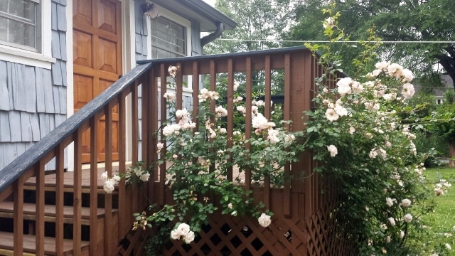 Photo - 135 Marble Mill Rd NW