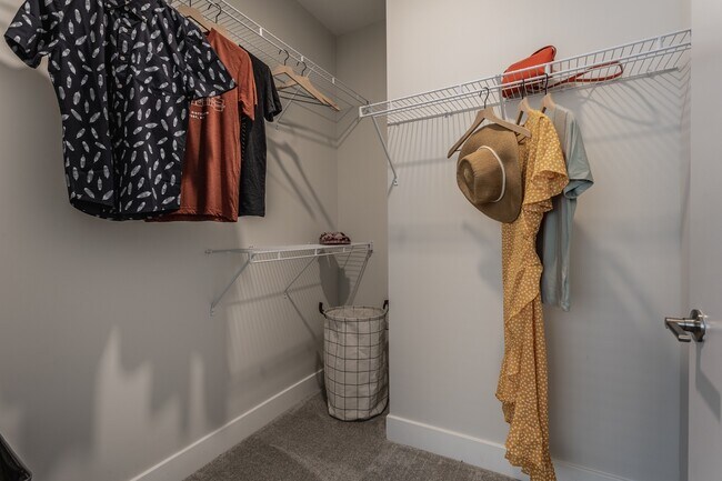 Artistry Cincy Walk-In Closet