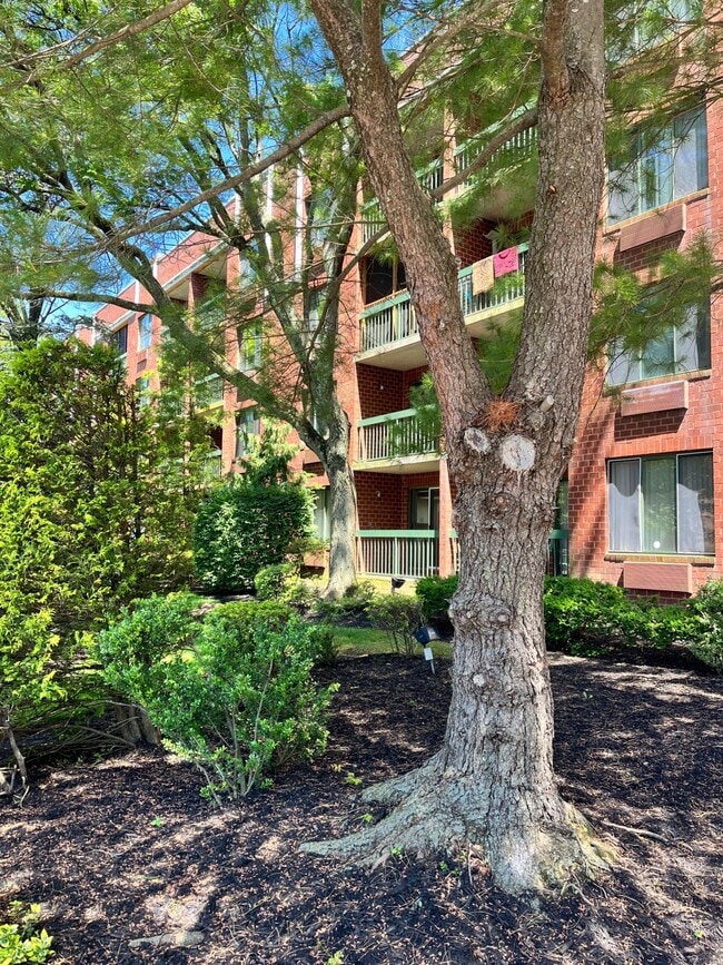 Photo - 121 Wellington Ct Unit 3I