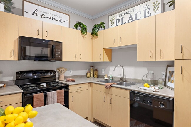 Artisan Apartments & Shops in Austin Texas