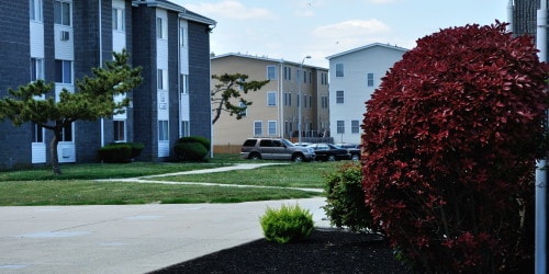 Photo - Carolina Village