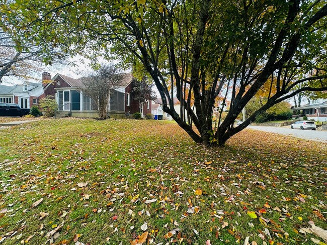 Photo - Updated Home in Highly Desired Deer Park N...