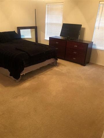 Photo - 3137 Stone Forest Cir