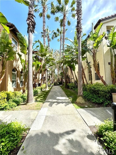 Photo - 88 Sarabande