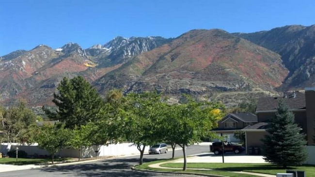 Photo - 1622 Heatherwood Cir