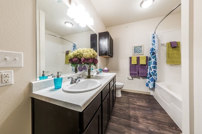 The Vista Apartments For Rent in San Antonio, TX
