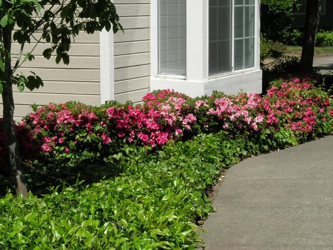 Photo - 1920 Lazzini Ave Unit 1920-D