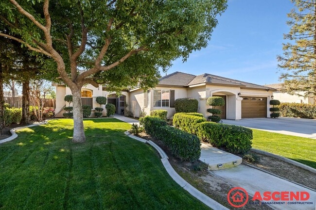 Gorgeous Home In Olive Dr Area! - Gorgeous Home In Olive Dr Area!