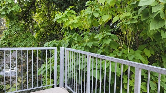 Photo - 6960 SW Canyon Rd Unidad C