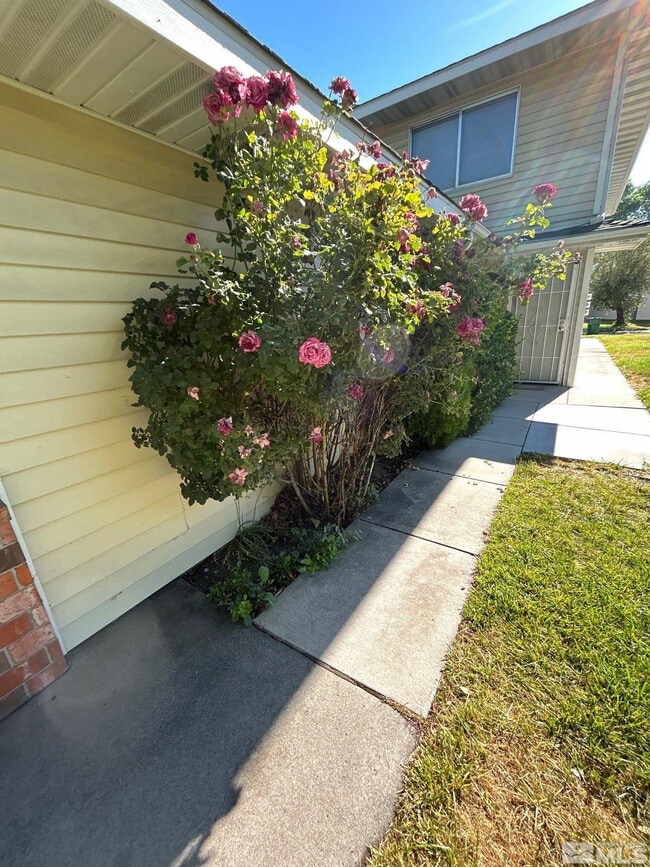 Photo - 5020 Catalina Dr Casa Adosada