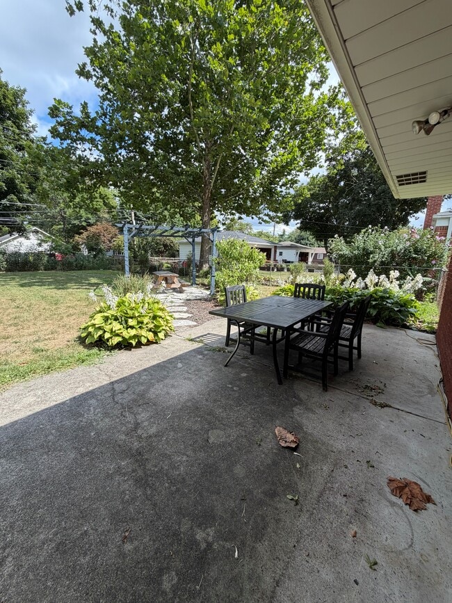319 Amelia Ave
