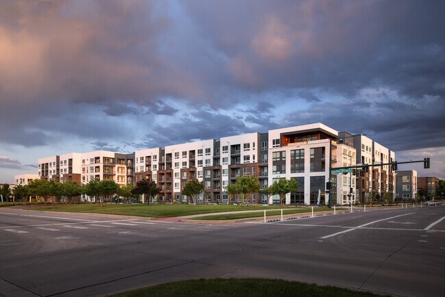 Photo - RYE Central Park