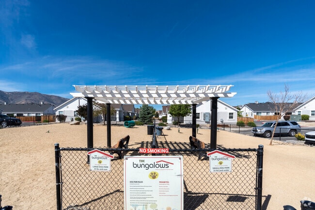Dog Park