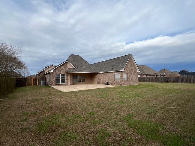 Photo - Pelican Crossing