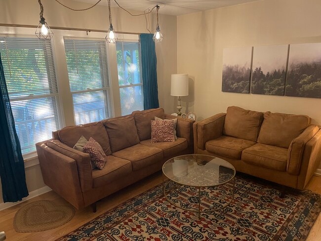 Living Room - 1662 N Cass St Apartamentos