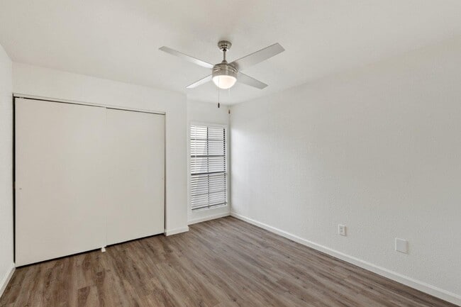 Photo - Cortland Sabino Canyon