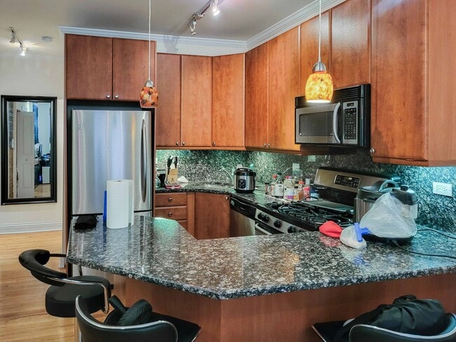 Photo - 624 W Roscoe St Apartment Unit 1B