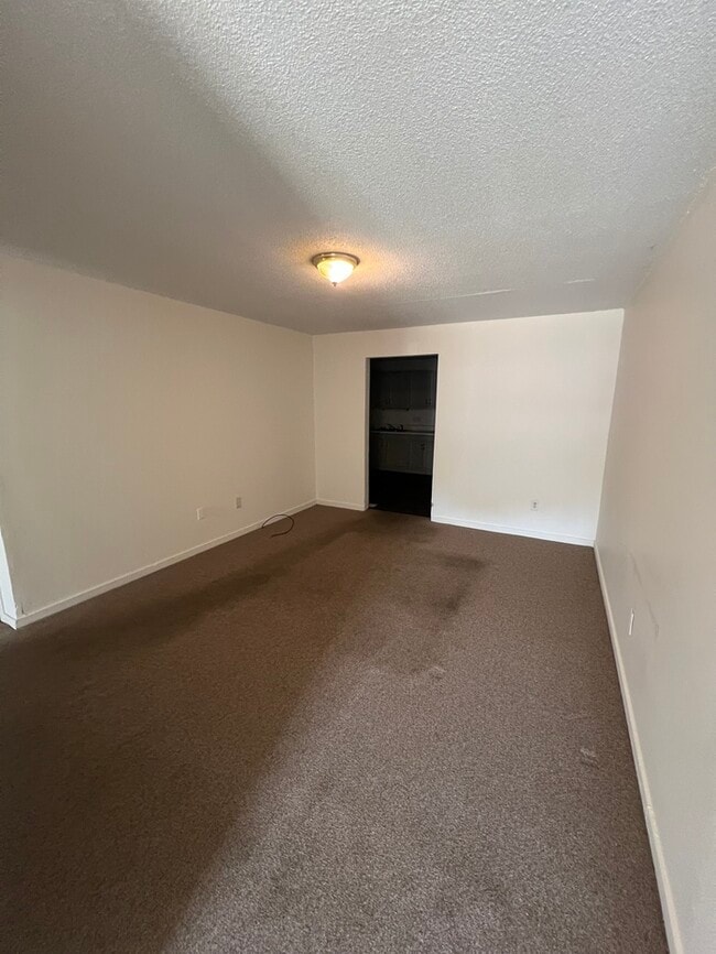 414 Timmy Ln