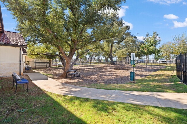 Water Oak