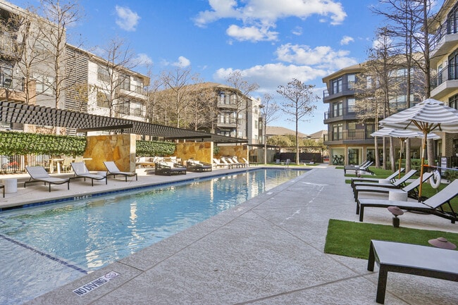 Photo - Dorian and Encore