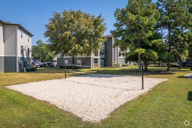 Volleyball Court