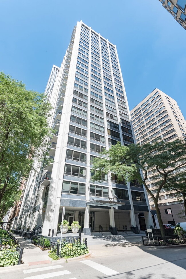 Building Photo - 222 E Pearson St Unit 501