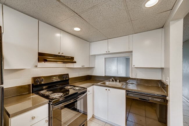 Photo - Spectra Palms