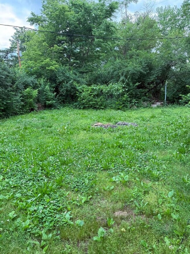 3 BR 1 BA newly remodeled home! - 3 BR 1 BA newly remodeled home!