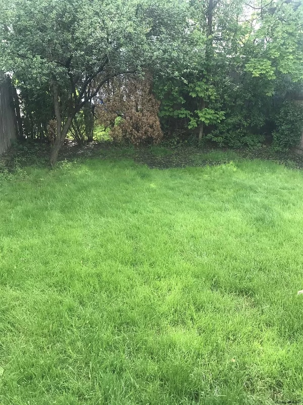 Photo - 1 Southern Blvd Unit 1, Albany, NY