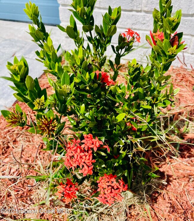 Photo - 526 Frink Ave