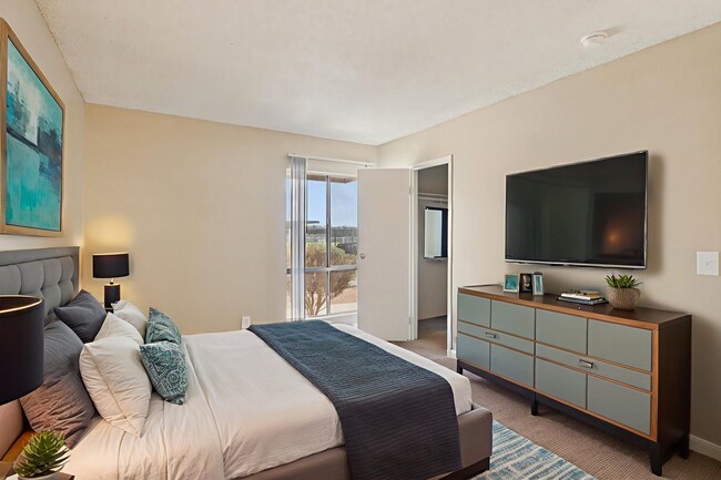 Photo - Summer Meadows