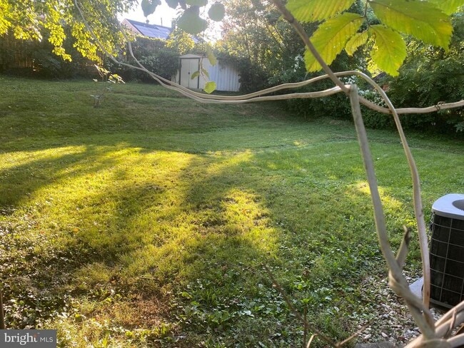 Photo - 1423 Ruatan St