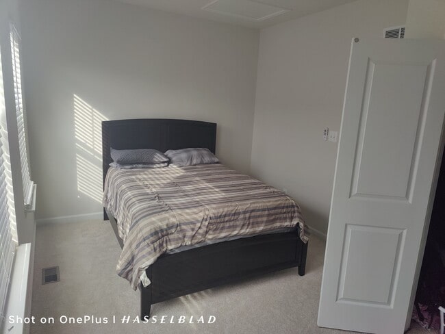 Photo - 3418 Chester Aly