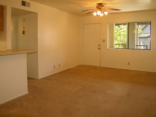 1 Bed 1 Bath Living Room