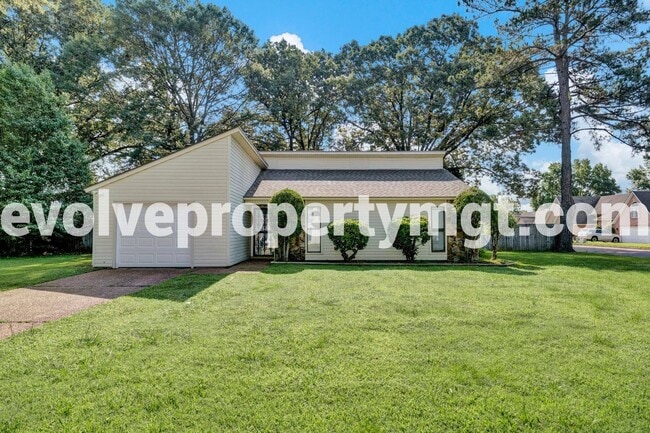 COLLIERVILLE HOME!! - COLLIERVILLE HOME!!