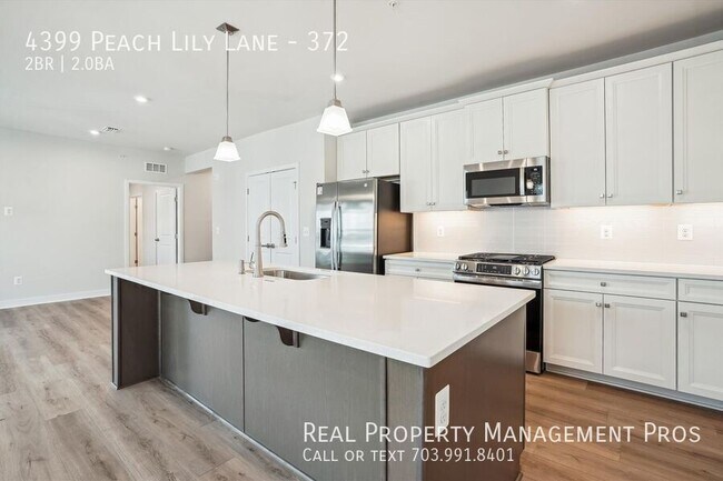 4399 Peach Lily Ln Unit 372