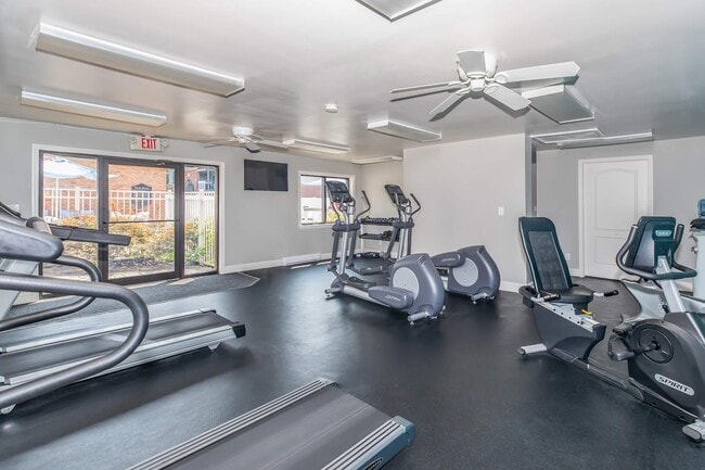 Photo - London Square & Blue Spruce