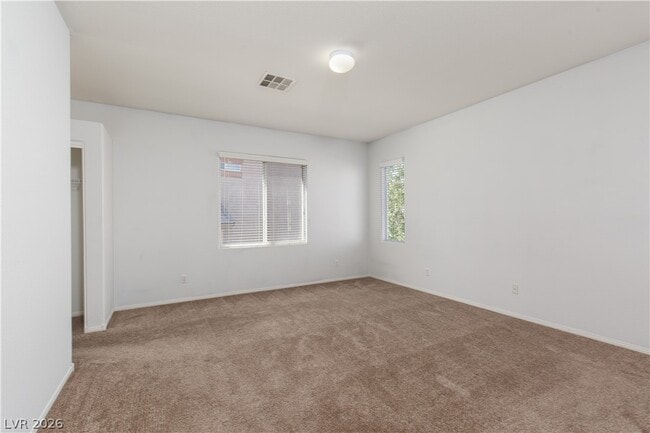 Photo - 8277 Brilliant Pompon